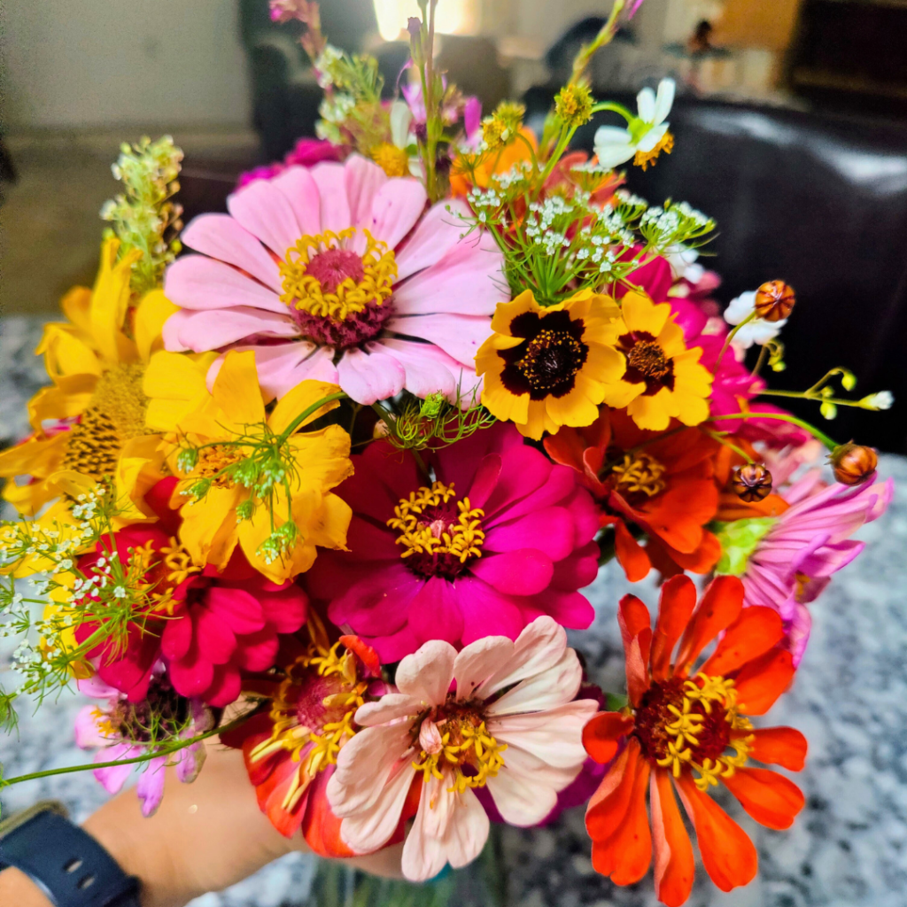 Fresh Zinnias, wildflowers, baby's breath, greenery and sunflowers make up this arrangement.  All flowers were picked at Hunsader Farms. 