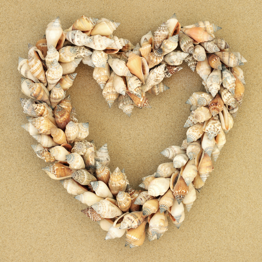 A heart wreath made with seashells